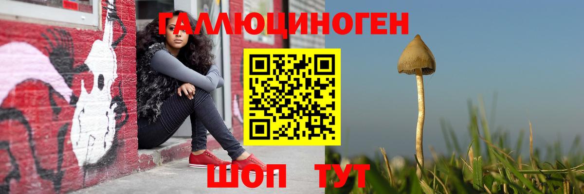 Галлюциногенные грибы прущие грибы Чебоксары